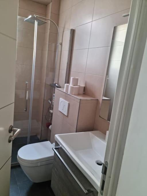 Cosy And Lovely Flat Au Port De ! Apartment *